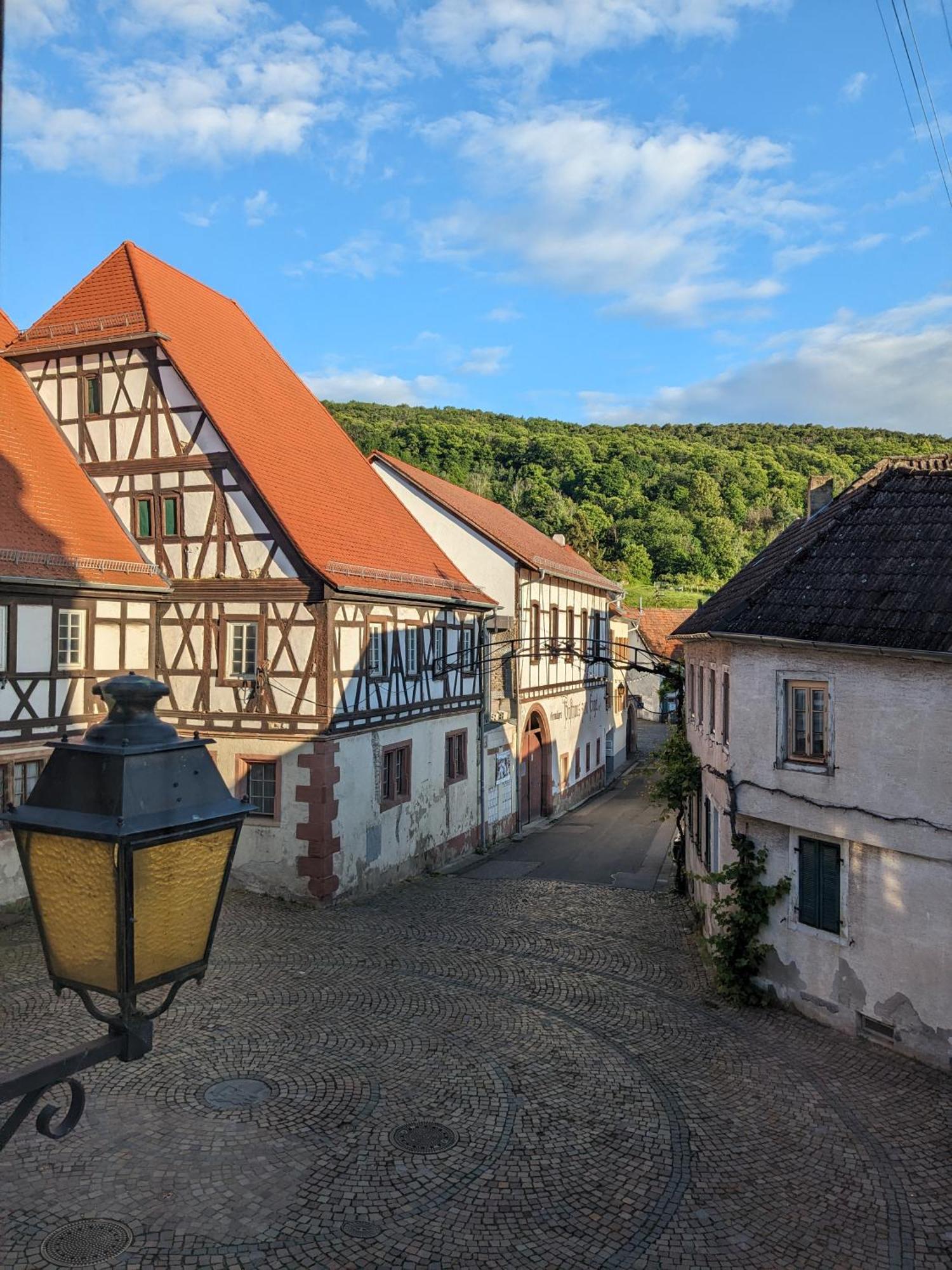 Im Kraemerladen Neustadt an der Weinstraße Exterior foto